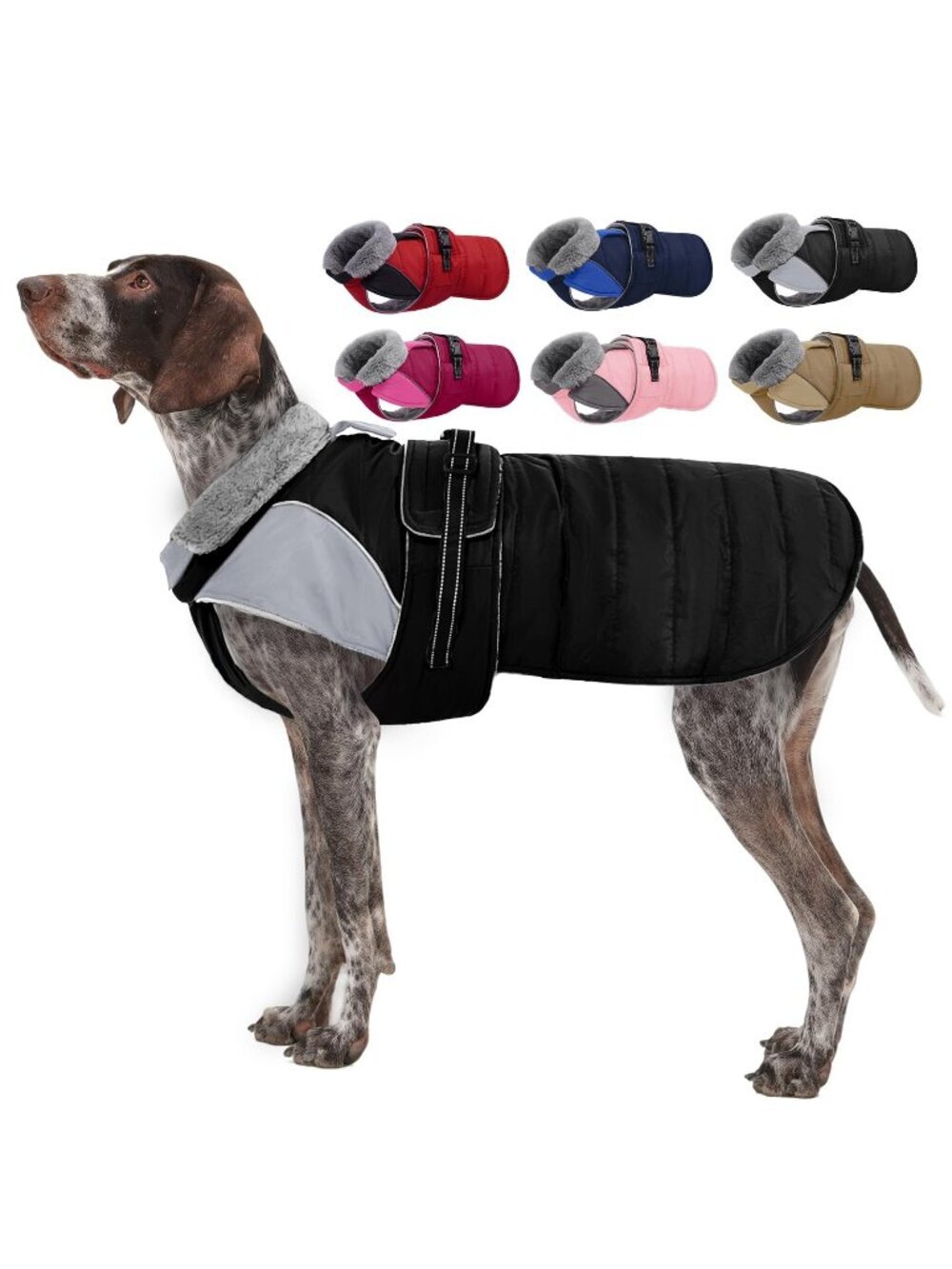 Nanaki XXLarge Dog Coat Waterproof, Warm Fleece Lining Reflective  Jacket Leash